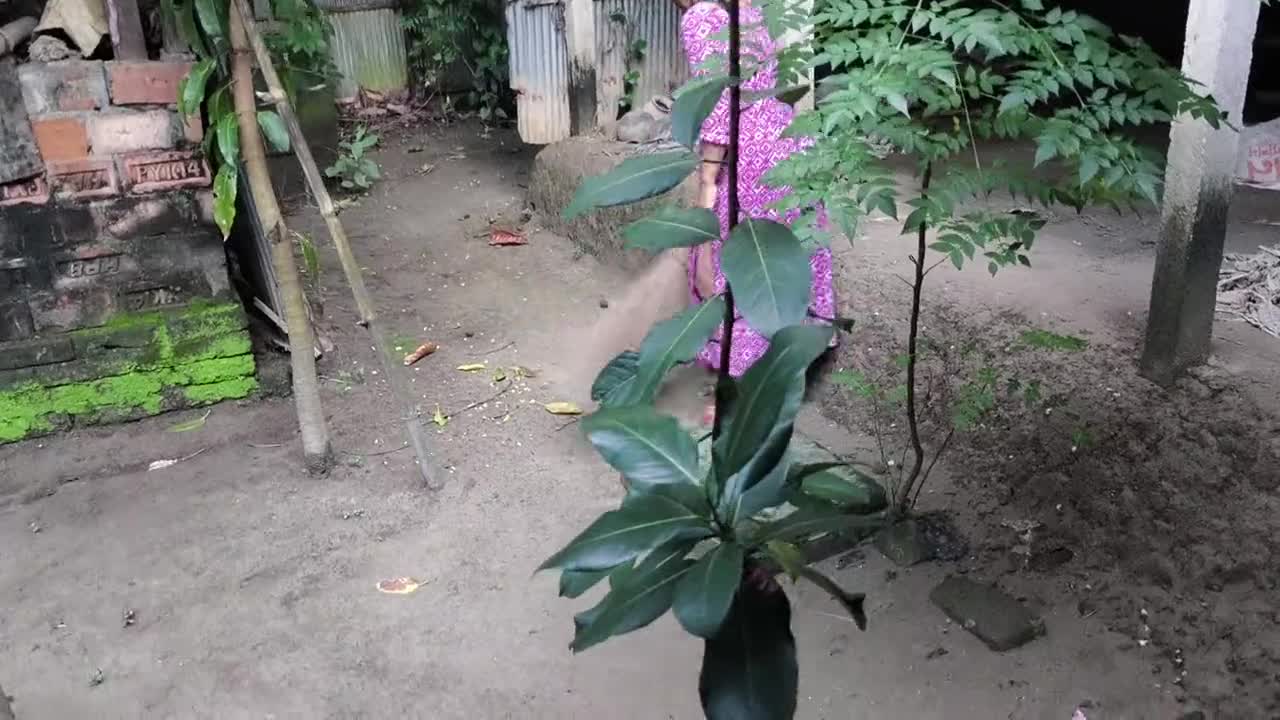 Aku melihat bibiku membersihkan halaman, aku memeluknya dan mulai bercinta.mp4