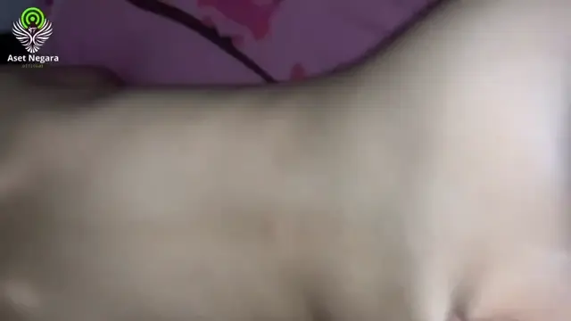 Abg Esempeh Main Dikost Ayang Mintak Ngewe