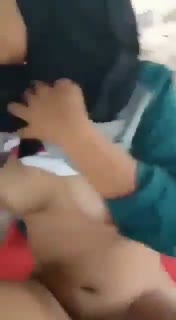 Abg Viral Tanam Benih Kental Di Kebun