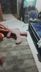 Pijat bapak baju cream full telegram@pijatstw11 PART1